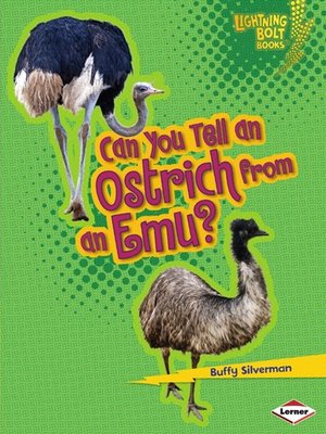 cover image of Can You Tell an Ostrich from an Emu?